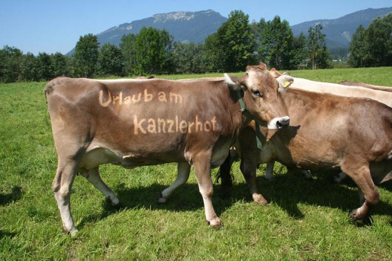 Kanzlerhof Bad Mitterndorf Extérieur photo